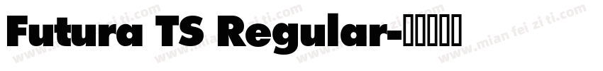 Futura TS Regular字体转换